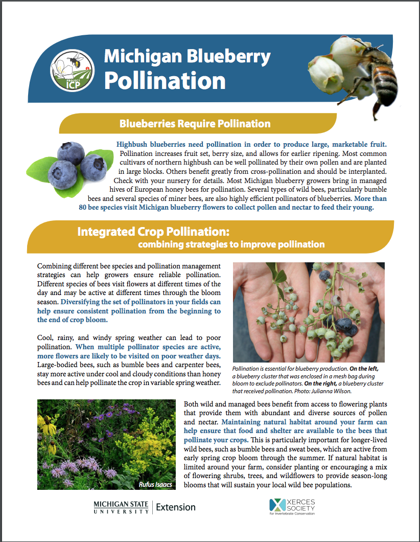 PDF cover of MI Blueberry Pollination